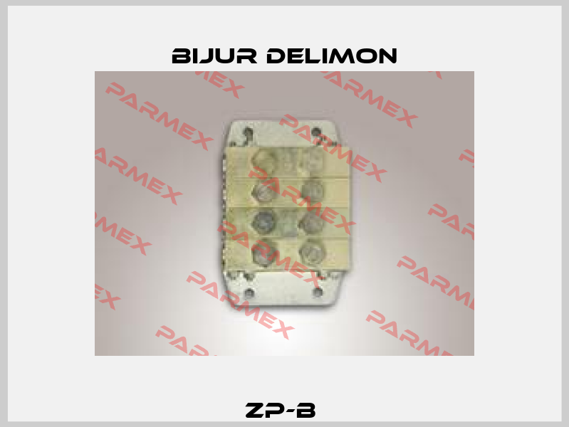 ZP-B  Bijur Delimon