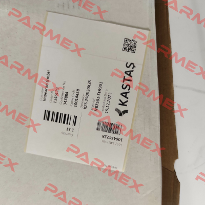 10014458 - K25 250X30X35 Kastas Sealing