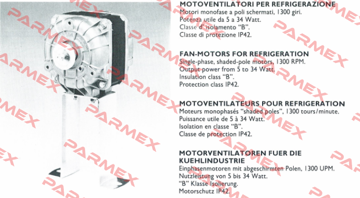 82-1305 Euro Motors Italia