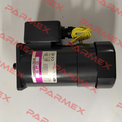 S9I90GSH-TECE Spg Motor