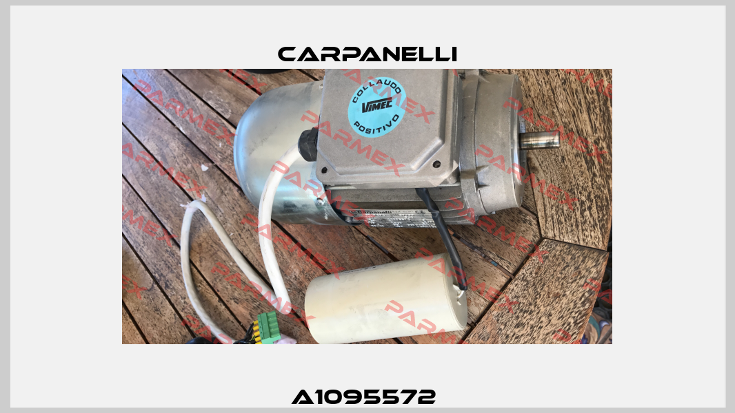 A1095572  Carpanelli