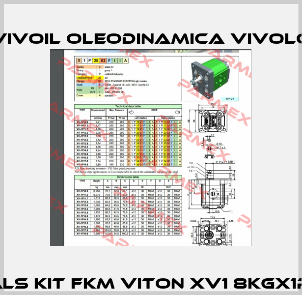 Seals kit FKM VITON XV1 8KGX1P1.V  Vivoil Oleodinamica Vivolo
