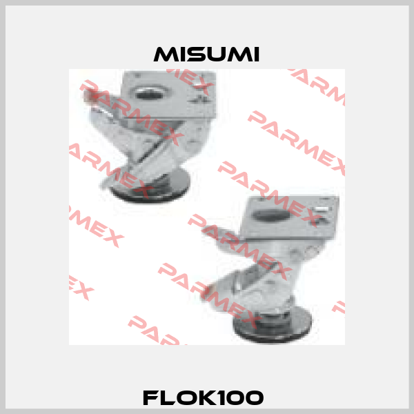 FLOK100  Misumi