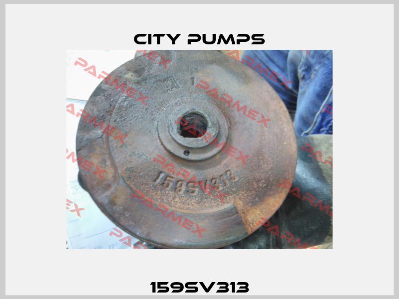 159SV313 City Pumps