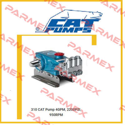 310  Cat Pumps