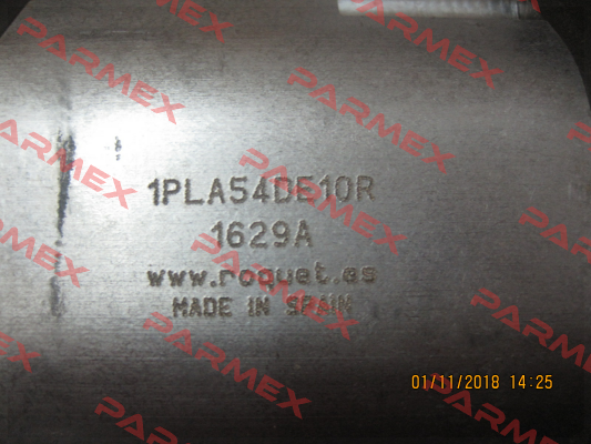 1PLA54DE10R P1BRN3036L10 Roquet pump