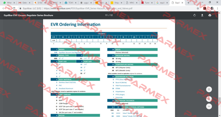 EVR- GSD6SNGX-NSX30T60FXVV Equilibar