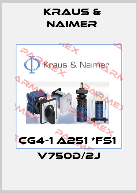 CG4-1 A251 *FS1  V750D/2J Kraus & Naimer