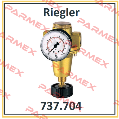 P/N: 100893 Type: 737.704 Riegler