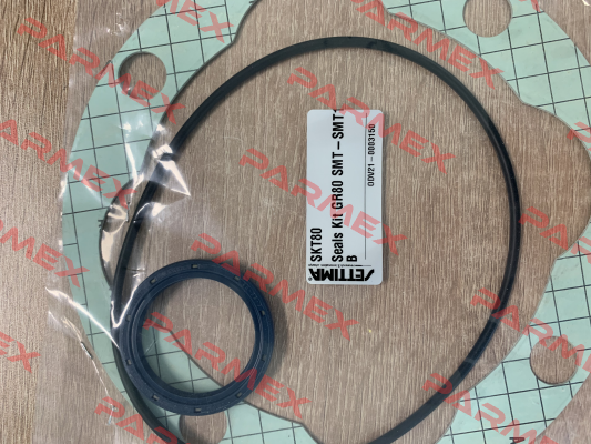 Sealing kit for GR80-SMT16B-1000L-AX Settima