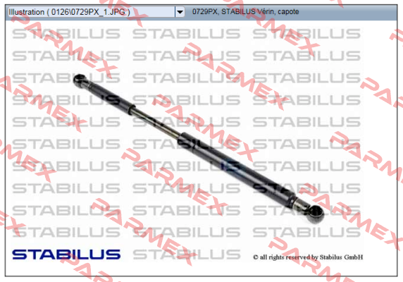 0729PX Stabilus