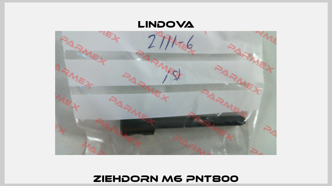 ZIEHDORN M6 PNT800 LINDOVA