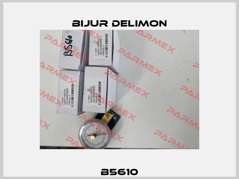 B5610 Bijur Delimon