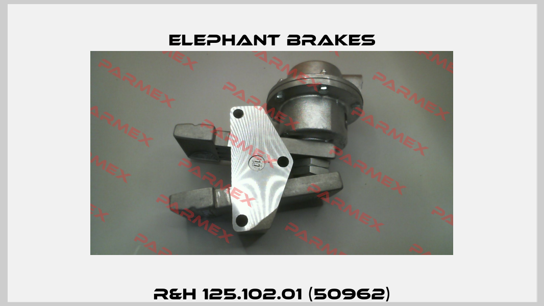 R&H 125.102.01 (50962) ELEPHANT Brakes