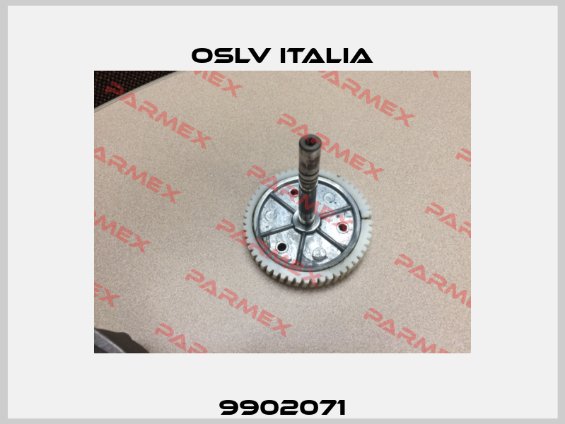 9902071 OSLV Italia