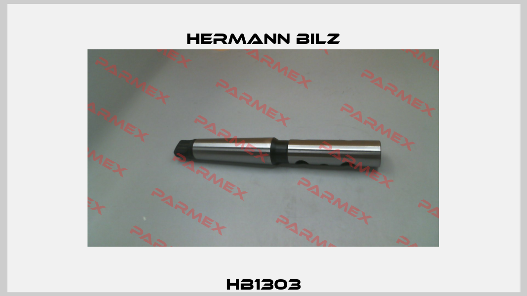 HB1303 Hermann Bilz