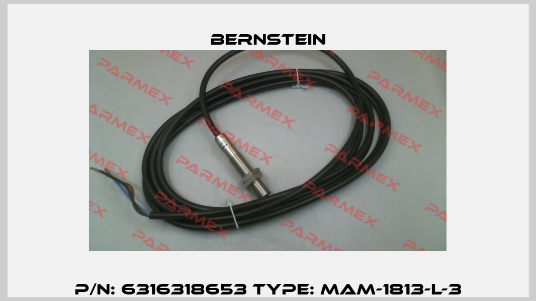 P/N: 6316318653 Type: MAM-1813-L-3 Bernstein