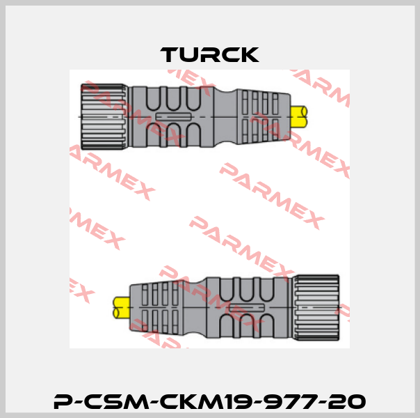 P-CSM-CKM19-977-20 Turck