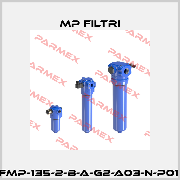 FMP-135-2-B-A-G2-A03-N-P01  MP Filtri
