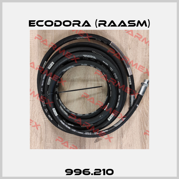 996.210 Ecodora (Raasm)