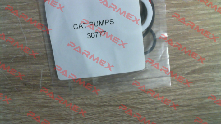 30777 Cat Pumps