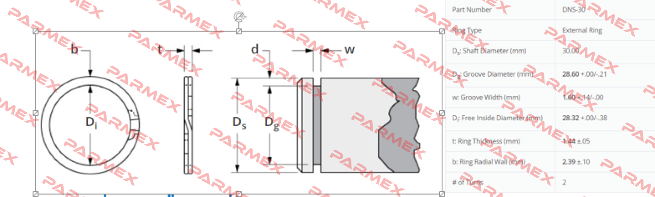 DNS-30 SMALLEY