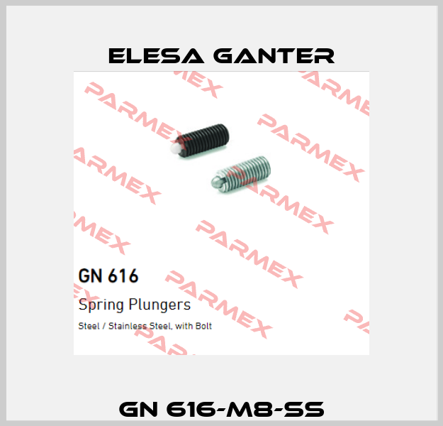 GN 616-M8-SS Elesa Ganter