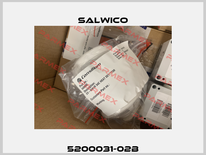 5200031-02B Salwico