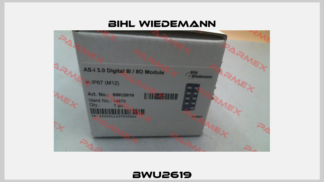 BWU2619 Bihl Wiedemann