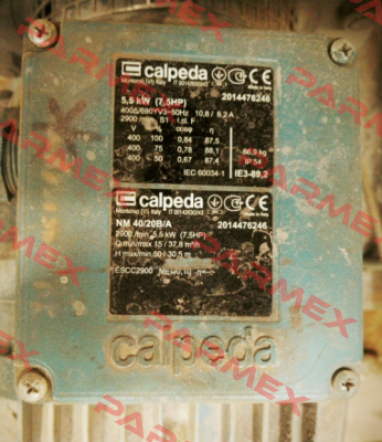 16006080000  Calpeda